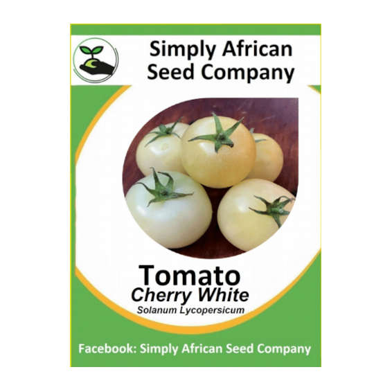 Tomato Cherry White 30's