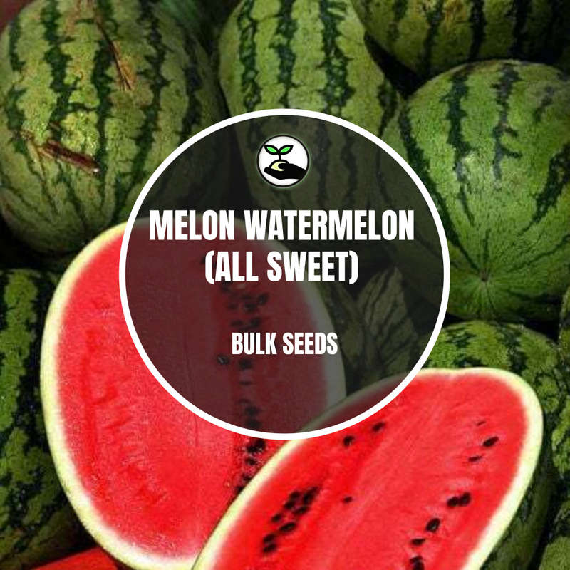 Melon Watermelon (All Sweet) - Bulk Deals *