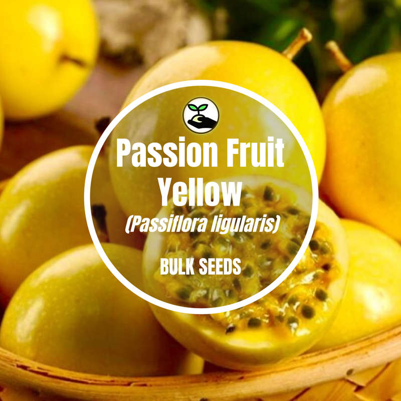 Passion Fruit Yellow - Bulk Deals
