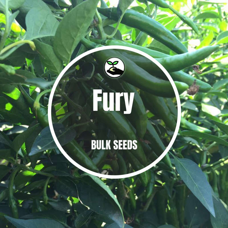Fury - Bulk Deals