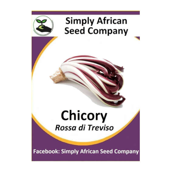Chicory Rossa di Treviso 30's