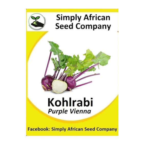 Kohlrabi Purple Vienna 50's