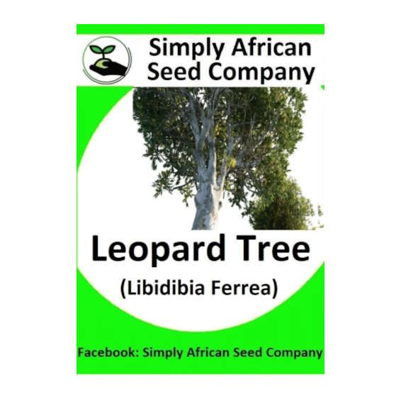 Leopard Tree (Libidibia Ferrea) 6's