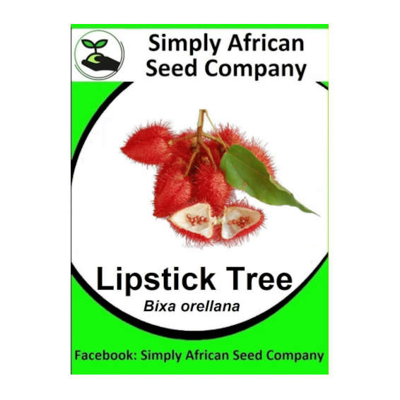 Lipstick Tree (Bixa Orellana) 12's