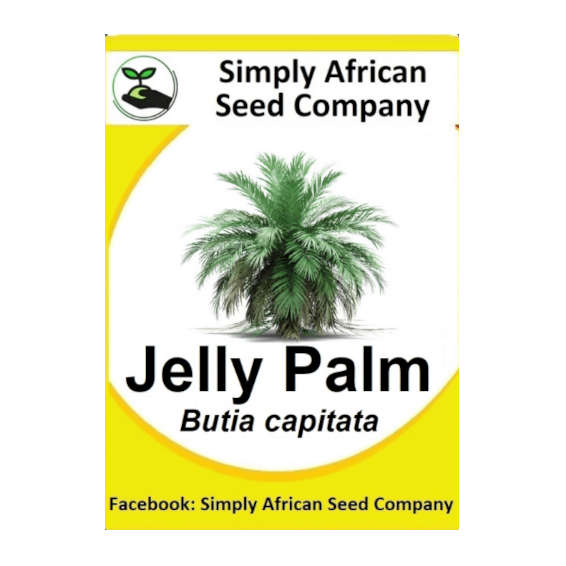 Palm Jelly (Butia Capitata) 6's