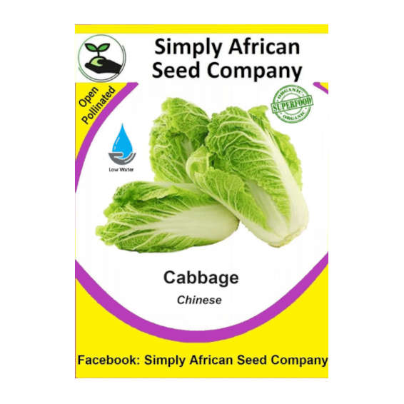 Cabbage Chinese 30's