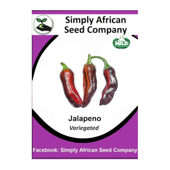 Jalapeno (Variegated) 12's