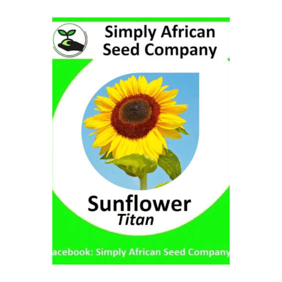 Sunflower Titan 30's