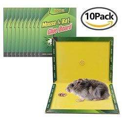 Rat & Mouse Traps Sticky Boards