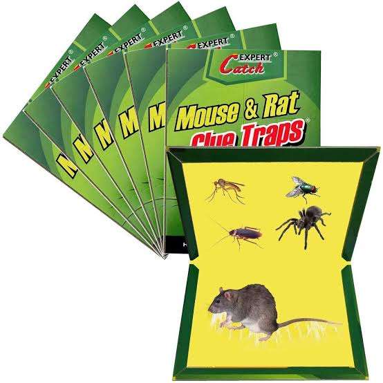 Rat & Mouse Traps Sticky Boards