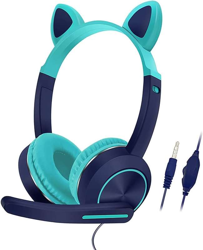AKZ-024 Wired Headphones