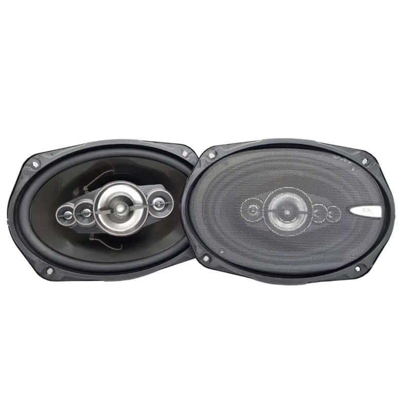 Ice Power 6X9 5-Way Speakers 600W