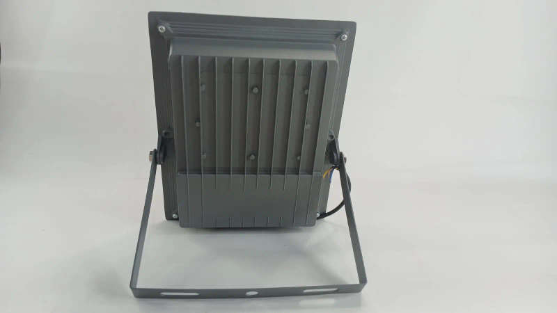 100W Led Flood Light
