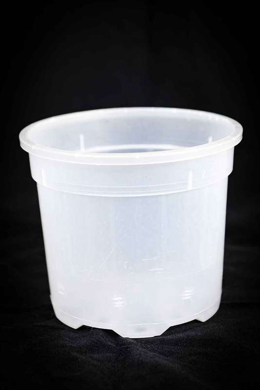 Clear plastic pots XL