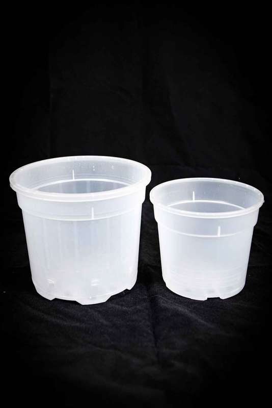 Clear plastic pots XL