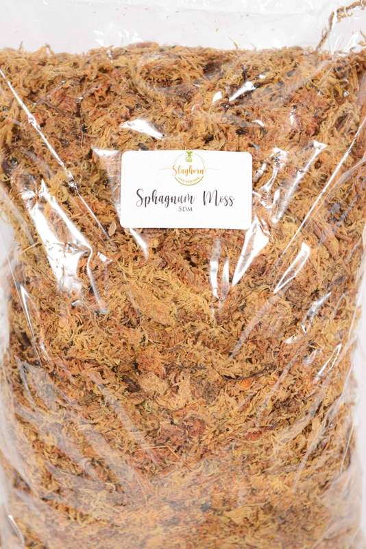 Sphagnum Moss