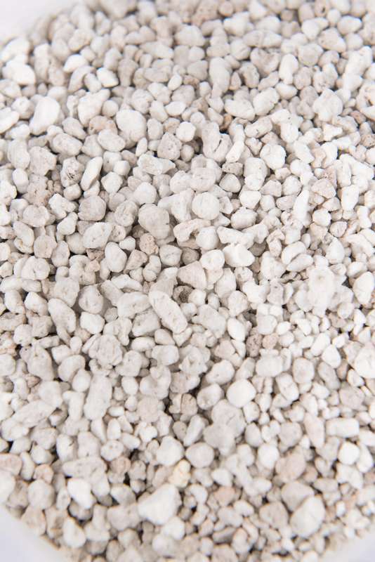 Perlite 5dm