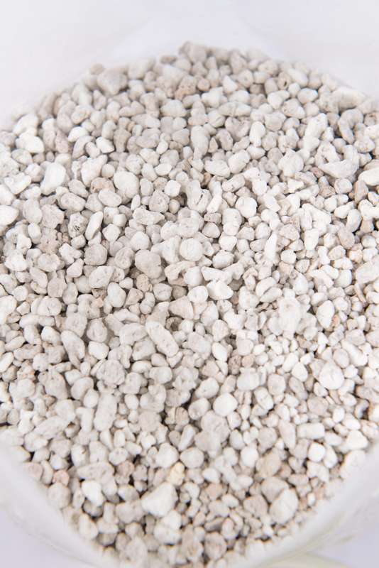 Perlite 5dm