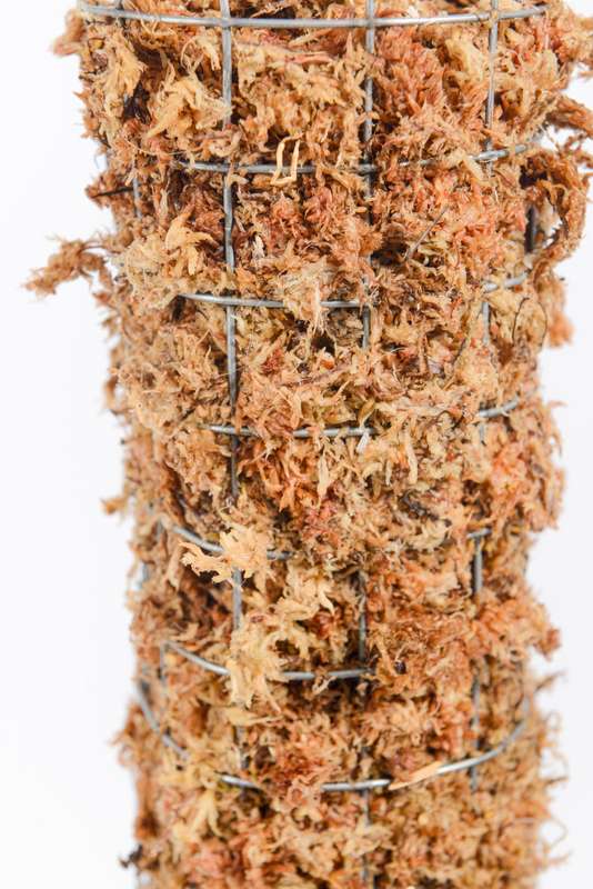 Moss Pole