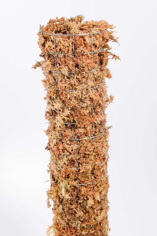 Moss Pole