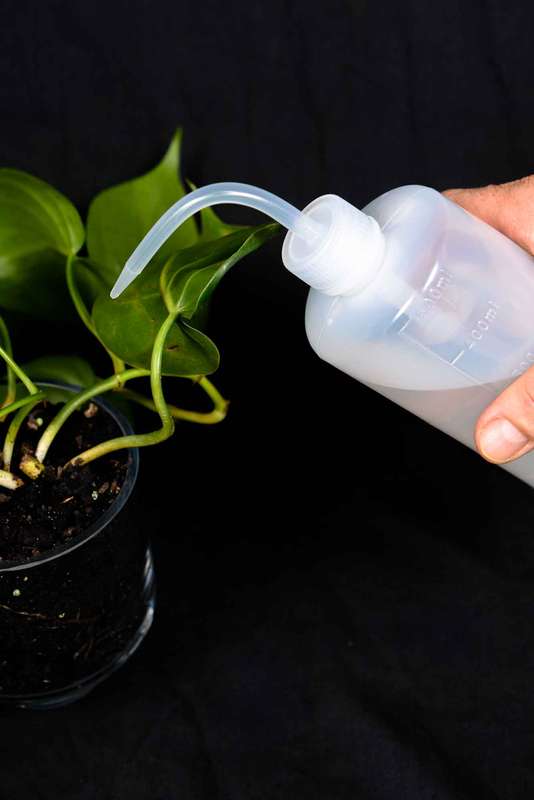 Water Spout Bottle 500ml