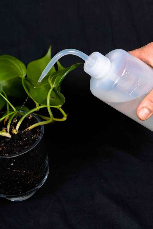 Water Spout Bottle 500ml