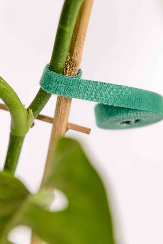 Velcro plant ties