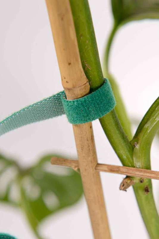 Velcro plant ties