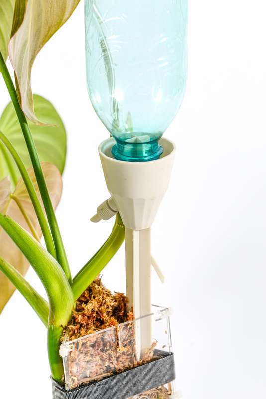 Self watering Dripper