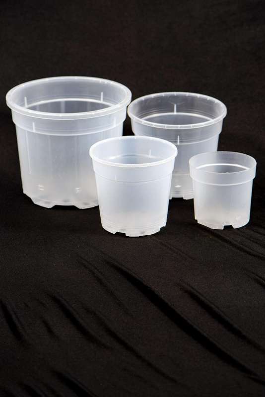 Clear plastic pots XL