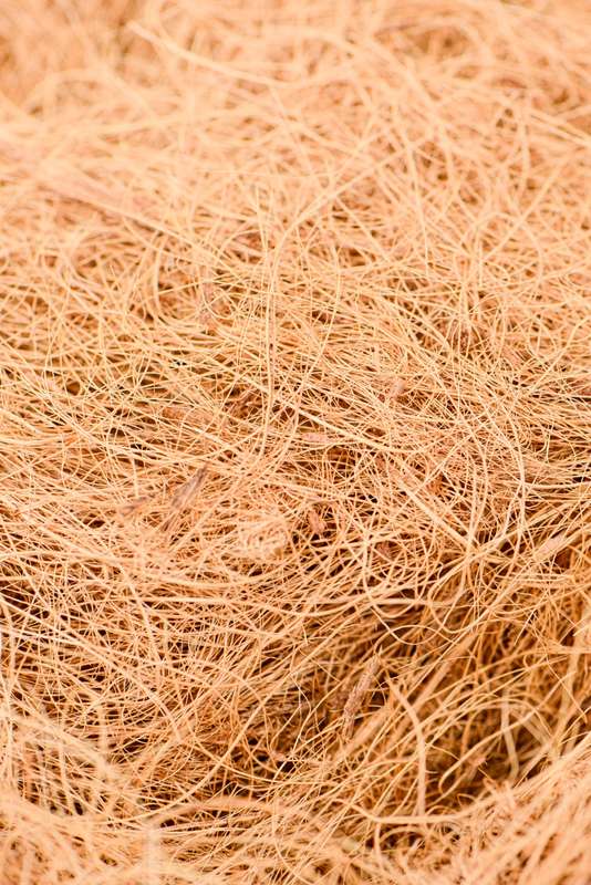 Bristle Coir 500g
