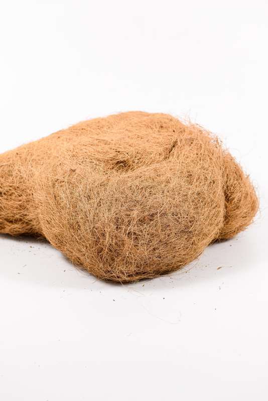 Bristle Coir 500g
