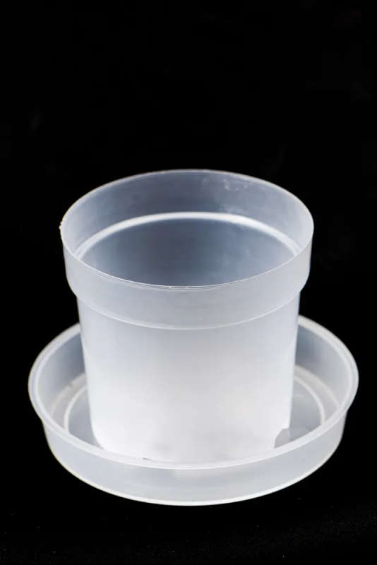 Clear plastic pots
