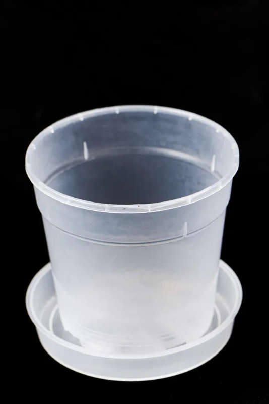 Clear plastic pots
