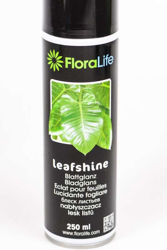 Leaf Shine Spray 250ml