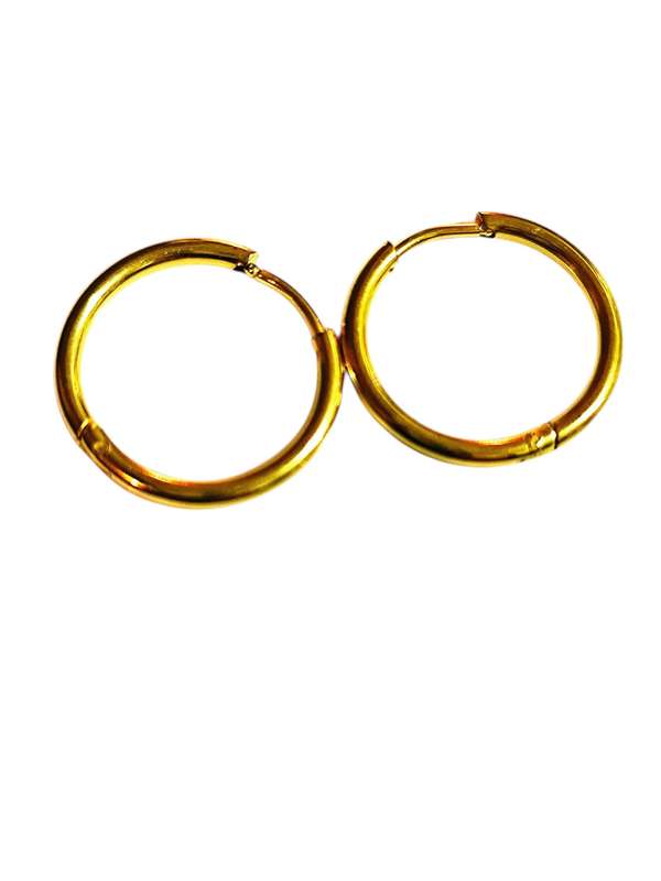 Stainless Steel Earrings Small Hoop in Gold, 20mm