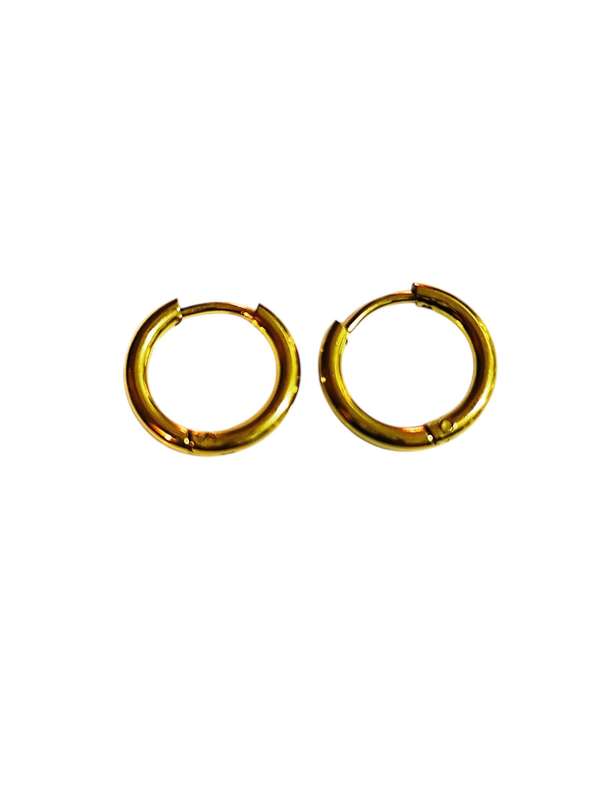 Stainless Steel Earrings Small Hoop in Gold, 14mm