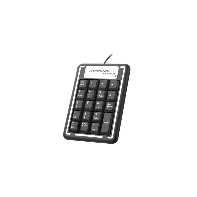 Non-Synchronous Notebook and Computer Numeric Keypad