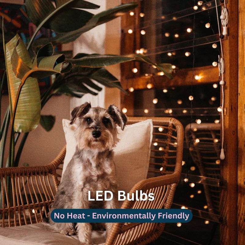 7m 50 LED Solar Bubble Ball Fairy Lights