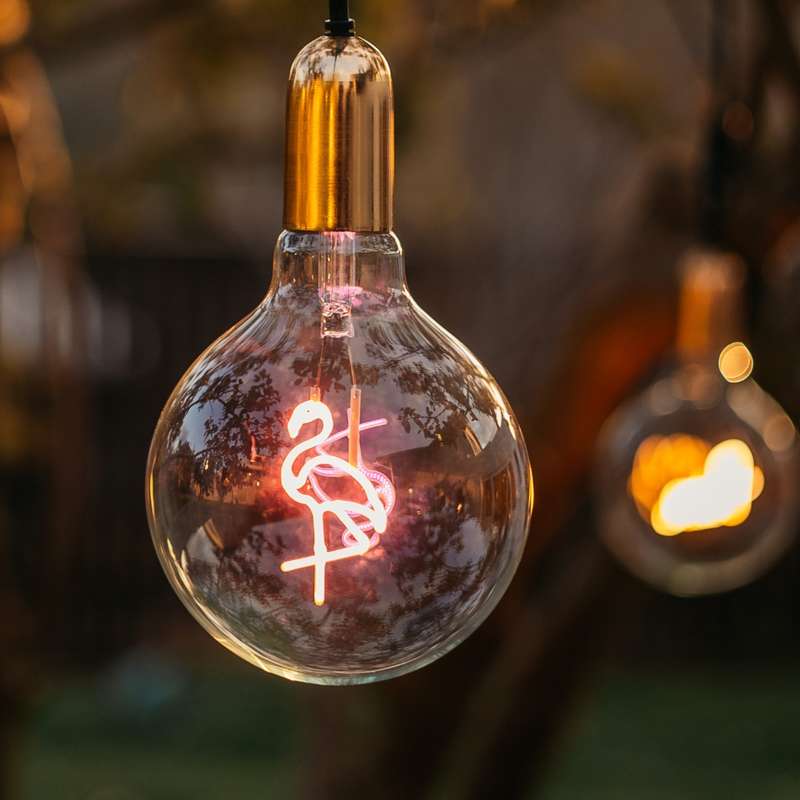 Retro Edison Light Bulb G125 Pink FLAMINGO LED E27 3W