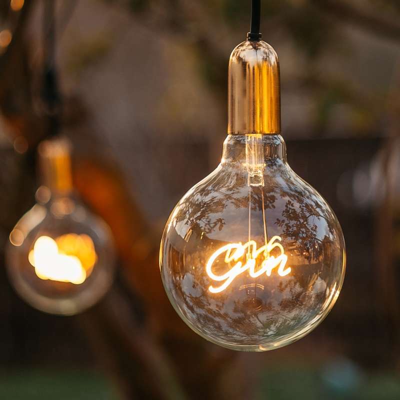 GIN Retro Edison Light Bulb G125 Warm White LED E27 3W