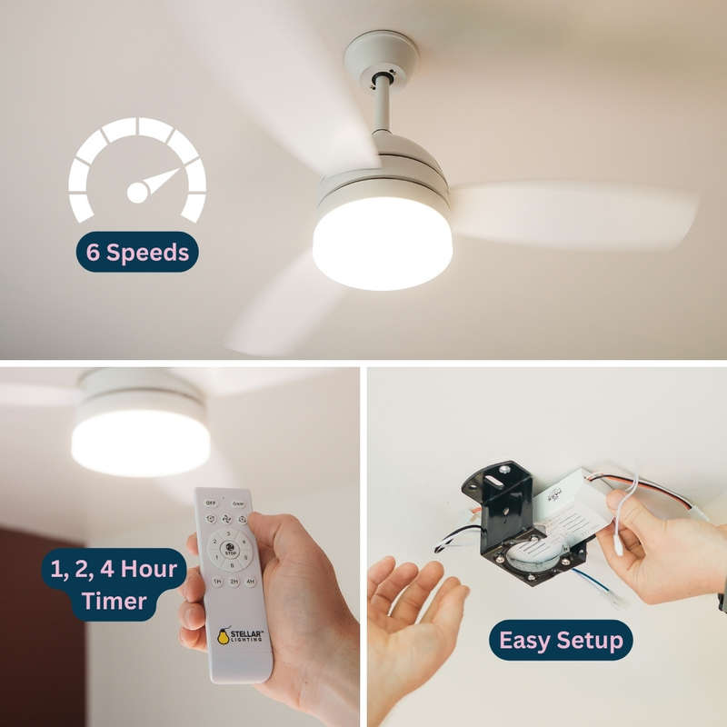 Ceiling Fan Light and Remote 3 Two-Sided Blades 42 Inch