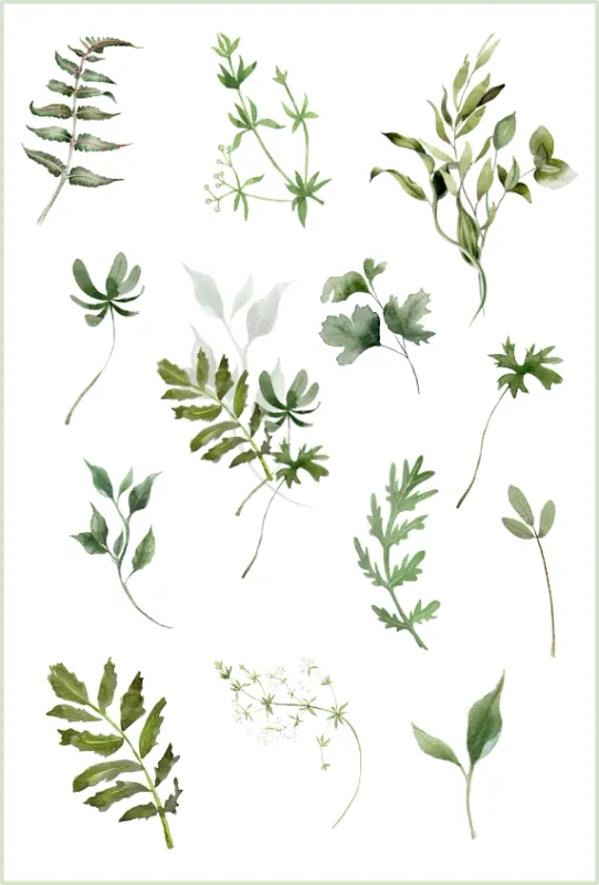 Fantastic Florals Craft Stickers: Green Foliage Vinyl Sheets for Journaling and Clear PET Sticker...