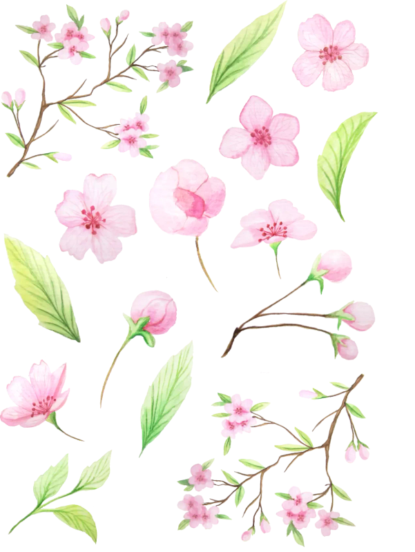 Fantastic Florals Cherry Blossom Sticker Sheet - Craft Stickers for Journaling, Pink Florals, Cle...