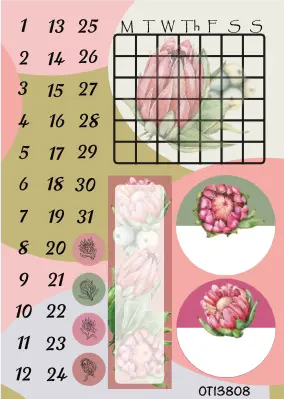 proteas 1-31 monthly English