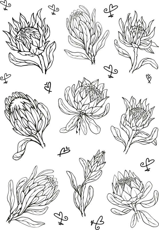 Colour Me In Sticker Sheets for Colouring, Crafts, and Journaling
