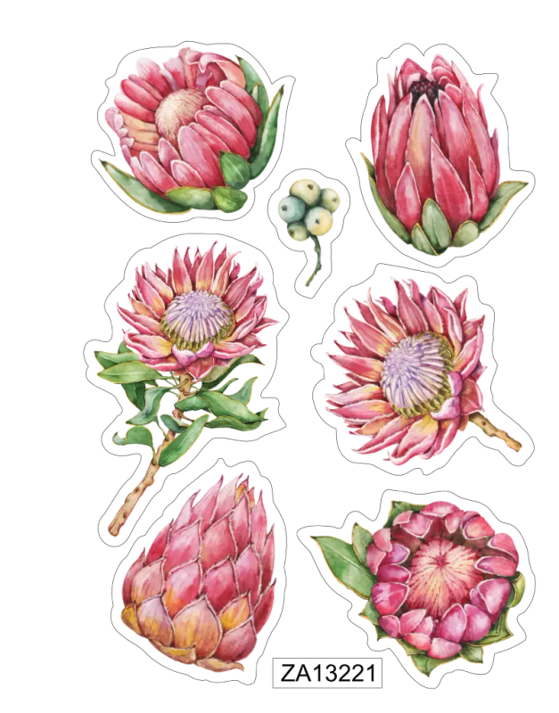 Proteas Sticker Sheet: Craft Stickers, Journaling, Water Colours