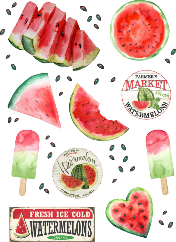 WaterDemelon Melon Sticker Sheet - Funky Fruit Craft Stickers