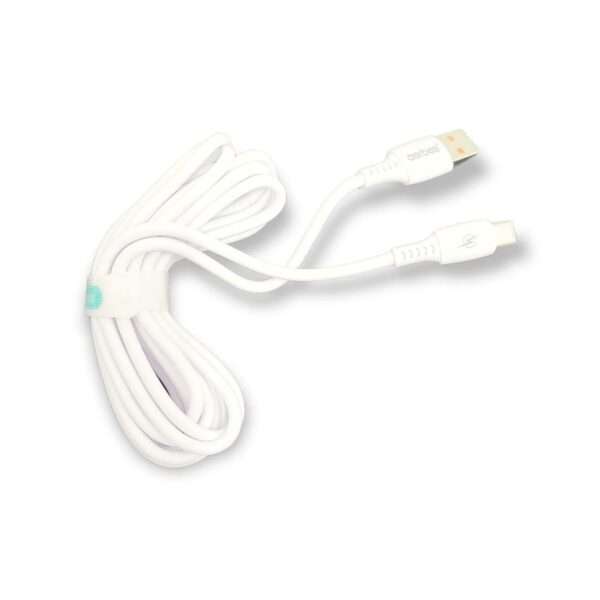 Aerbes AB-S024T Type C 2,4A Cable 3m