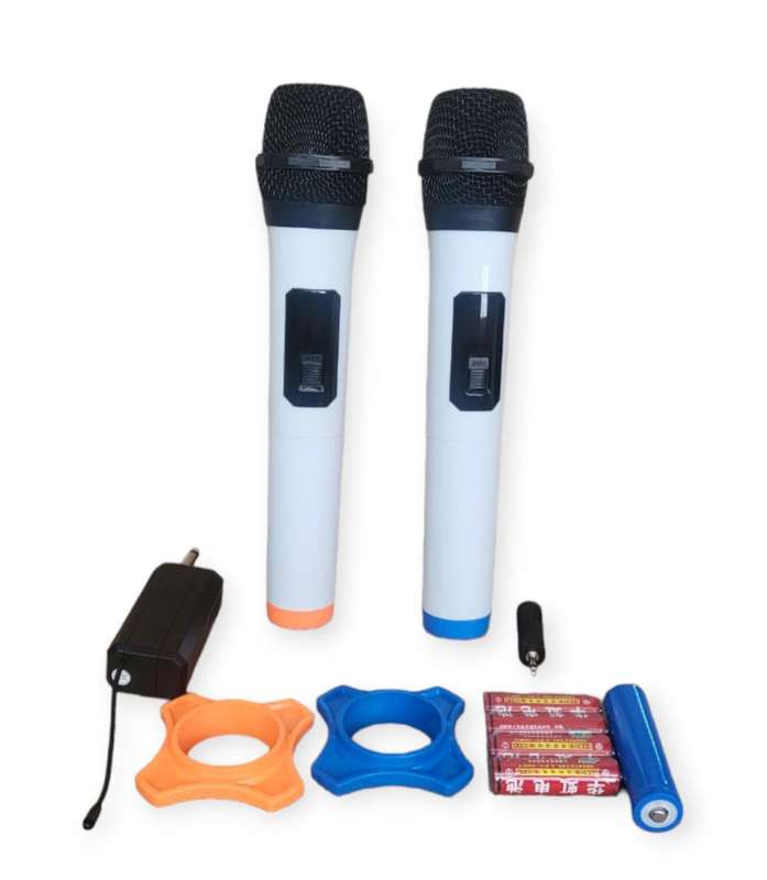 308 Professional Dual Karaoke Wireless Microphone